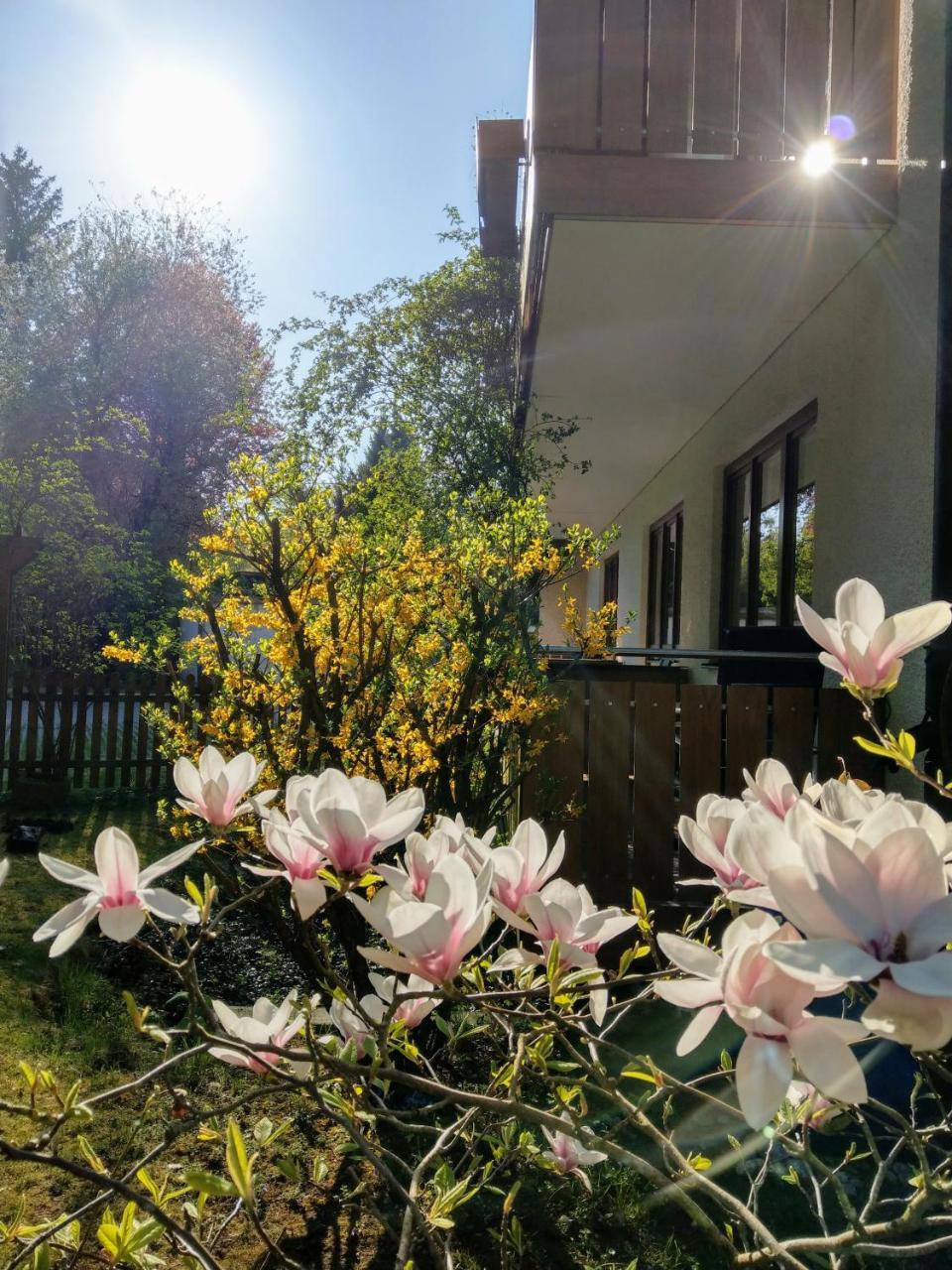 Hotel Am Wald อ็อตโตบรุนน์ ภายนอก รูปภาพ